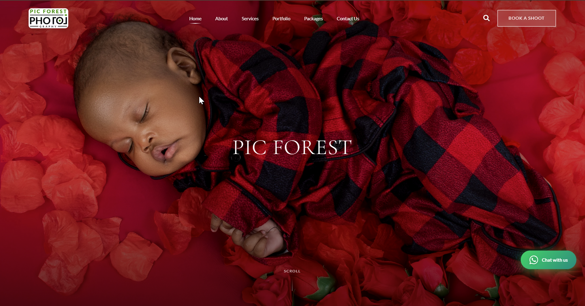 Picforest Photography
